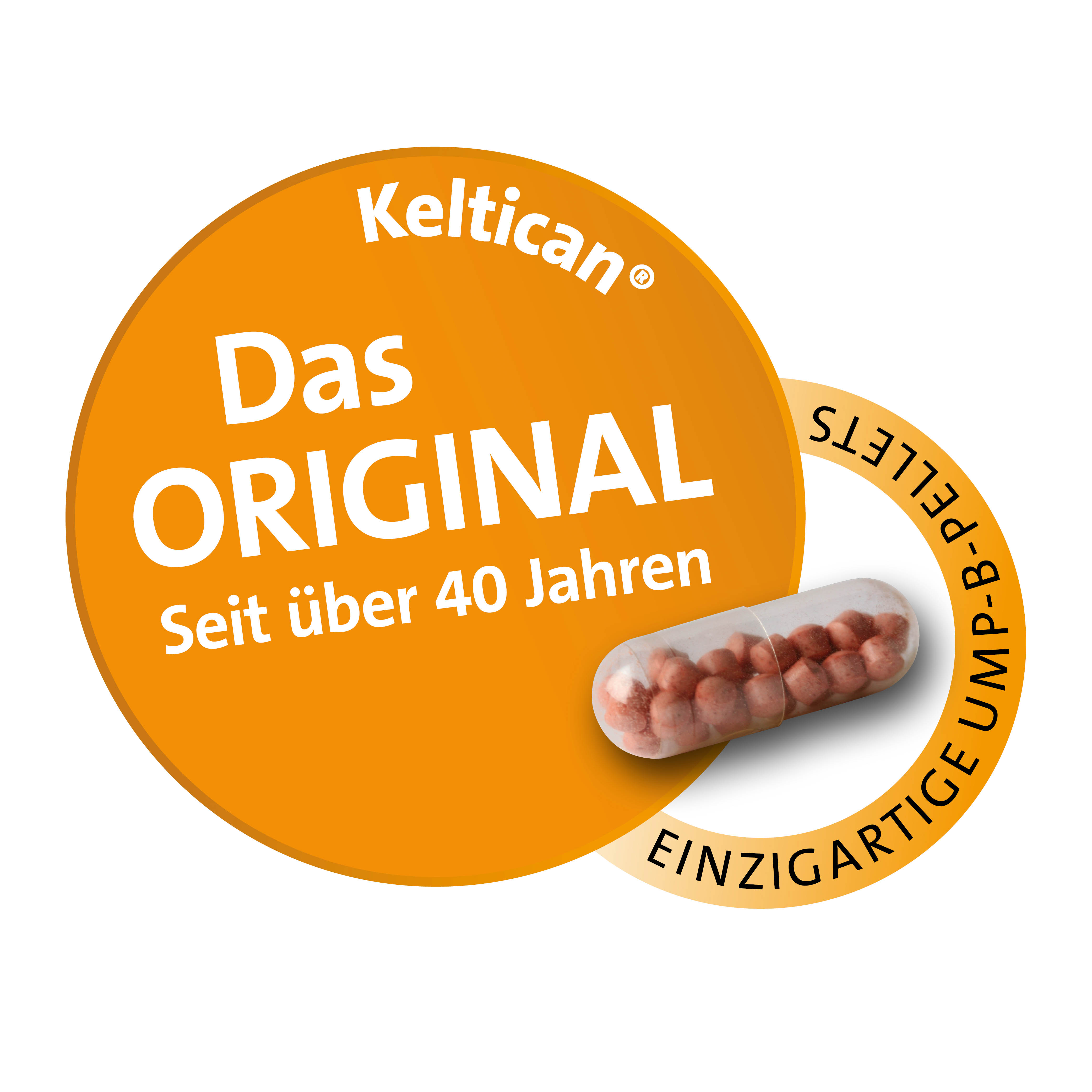 KELTICAN forte Kapseln