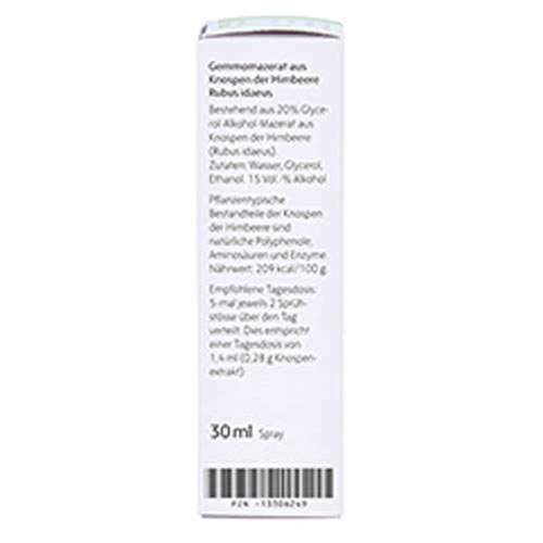 GEMMO-MAZERAT Rubus idaeus Spray